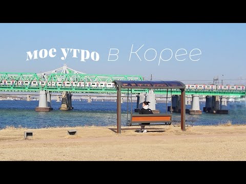 Видео: Моя утренняя рутина в Корее: остров Нодыль, корейская еда