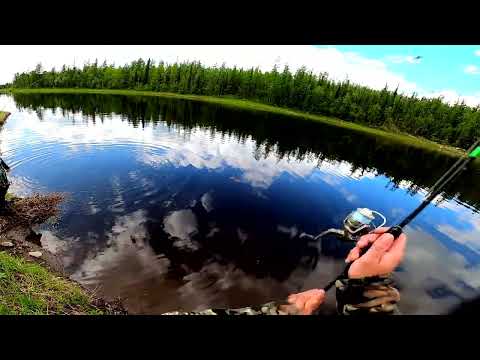 Видео: Ещё один рыболовный поход. Рыбалка в Эвенкии, день второй.