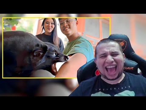 Видео: МАНУРИН СМОТРИТ UNUSUAL MEMES COMPILATION V268