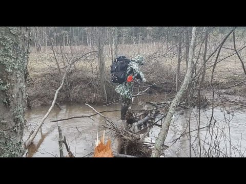 Видео: Таёжный коп, не ожидали такое найти