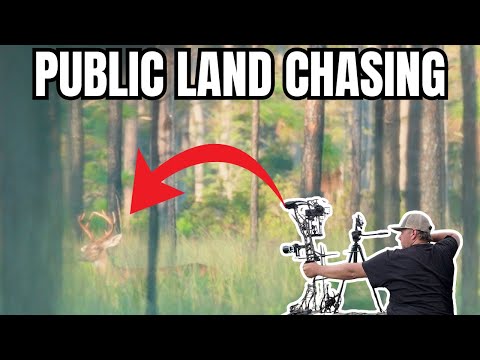 Видео: Так близко! Трогательные встречи с Florida Bucks | FTF Deer Tour, эпизод 2