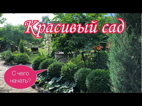 Видео: Красивый САД с нуля. С чего начать ,чтоб получилось? Первые шаги ВАЖНЫ.#ландшафтный дизайн #сад#дача