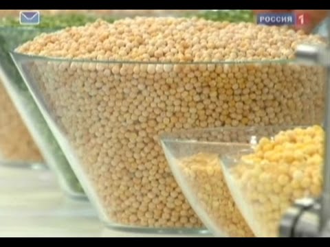 Видео: Горох - польза и вред