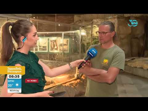 Видео: Първа вечер на Кроко в столичния зоопарк - Здравей, България (08.08.2024)