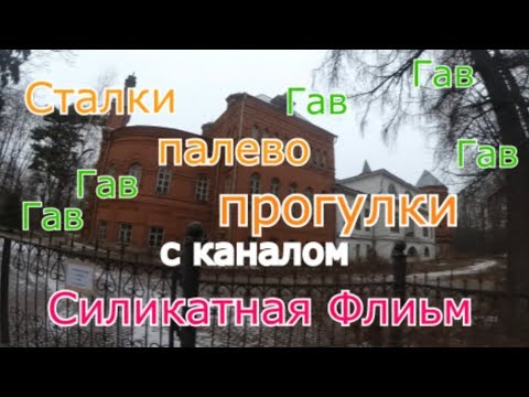 Видео: Сталки, палево, прогулки с Силикатная Флиьм