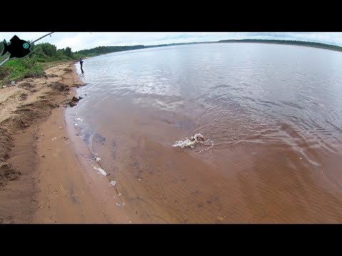 Видео: Рыбалка в Малой Товре / спиннинг/ Северная Двина