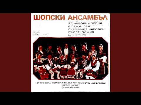 Видео: Вело, моме