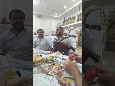 Видео: Заур Алибеков в Дербенте с друзьями. Хорошая душевная даргинская песня 🔥👍👏👏👏