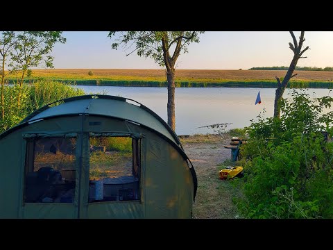 Видео: РЫБА КЛЮЁТ КАК БЕШЕНАЯ. Попали в супер клёв. Ловля амура в сказочном месте