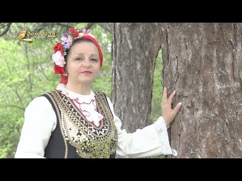 Видео: Сорина Богомилова – Жална горо