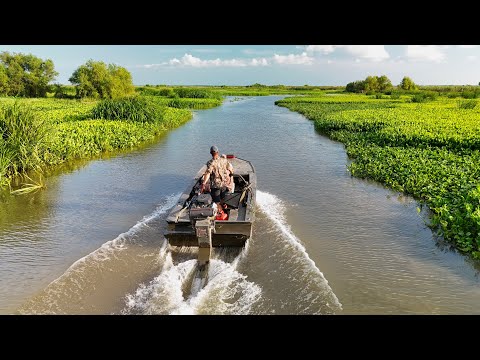 Видео: Исследование ДЕЛЬТЫ ДИКОЙ РЕКИ: охота, рыбалка, ловля раков и крабов (ловля и приготовление)