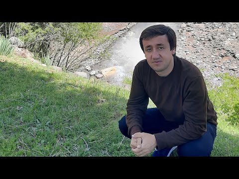 Видео: Некрузи ализод туй дар туту 2025