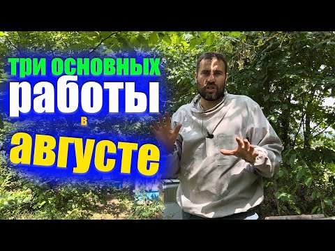 Видео: Ошибки пчеловодов в августе которые ослабляют пчелиные семьи или Пчелы слетают