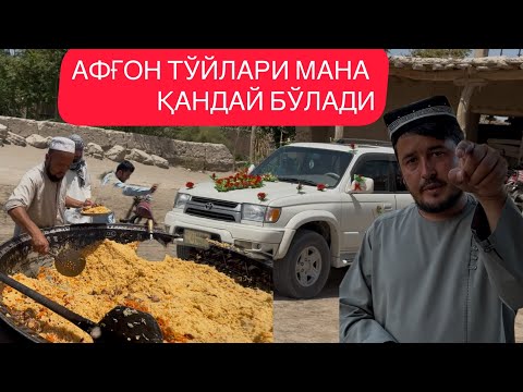 Видео: АФҒОН ТЎЙЛАРИ МАНА ҚАНДАЙ БЎЛАДИ