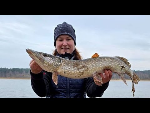 Видео: РЫБАЛКА НА ВОЛГЕ!  ПРАЗДНИК ОТМЕТИЛИ ПОД ЗВОН КОЛОКОЛЬЧИКОВ)))