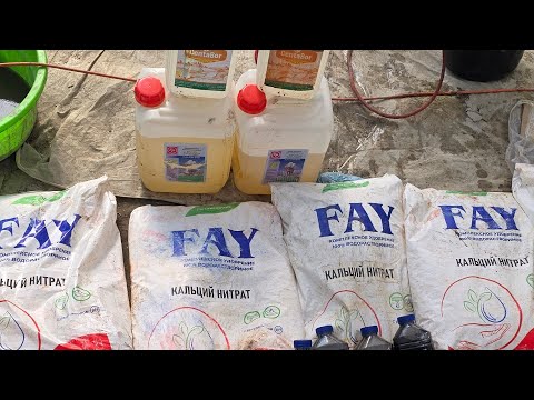 Видео: КАПЕЛЬНИЙДАН КАЛЦИЙЛИК РЕЦЕПТ