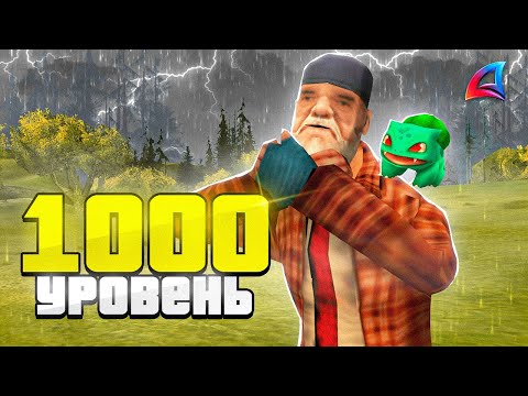 Видео: БОМЖ с 1000 УРОВНЕМ на ARIZONA RP в GTA SAMP