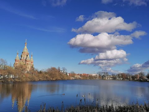 Видео: Позднее счастье, Елена Решетняк