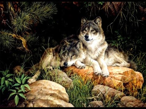 Видео: Wolf Soul-регистрация в игре,даю акк?|#1
