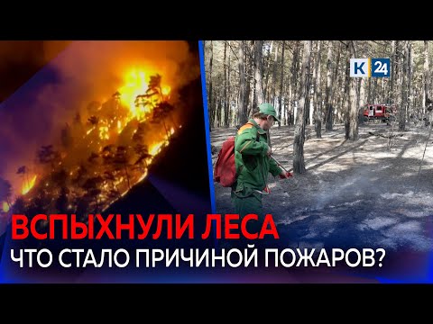 Видео: На Кубани во время двух пожаров огонь уничтожил более 8 гектаров леса