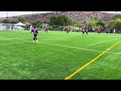 Видео: Буцефал 2014 - Плачковица