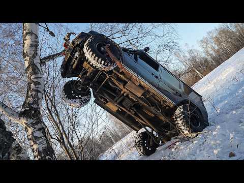 Видео: УРОНИЛИ ГЕЛИК с ДЕРЕВА!