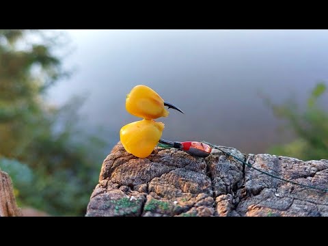Видео: Экстремальная рыбалка с обрыва на боковой кивок