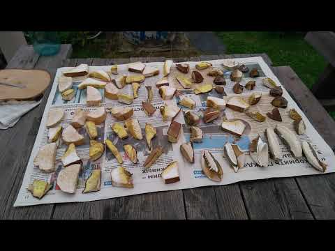 Видео: Обзор дачного участка.