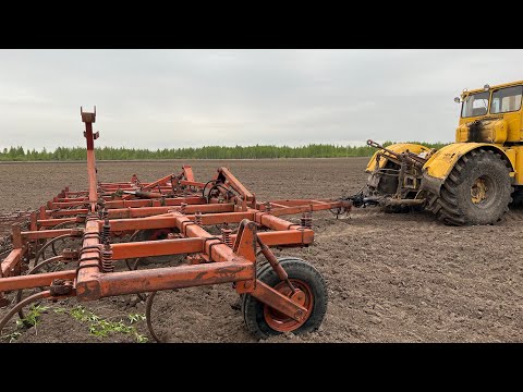 Видео: Выехал культивировать на К-700