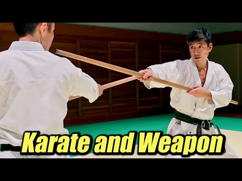 Видео: 【Каратэ и оружие】Удивительное сходство!