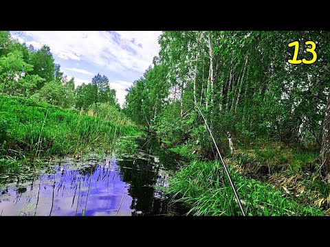 Видео: БЕШЕНЫЙ КЛЁВ ЩУКИ !!! Вот это рыбалка