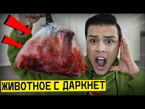 Видео: НИКОГДА НЕ ПОКУПАЙ ЖИВУЮ РЫБУ С ДАРКНЕТ *самый страшный домашний питомец*