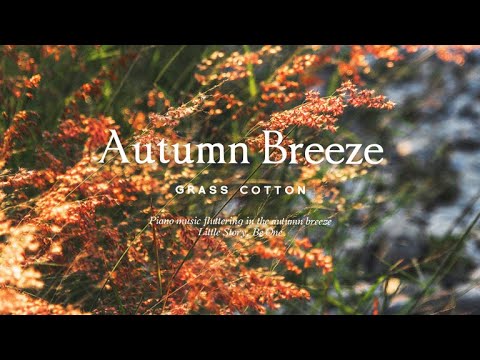 Видео: Фортепианная музыка, развевающаяся на осеннем ветру l GRASS COTTON+