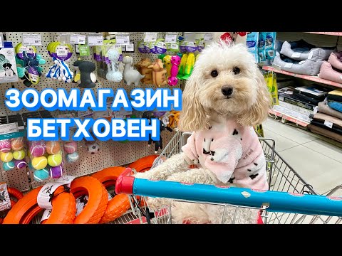 Видео: ШОПИНГ В ЗООМАГАЗИНЕ 🐶 ДОРОГУЩИЕ ТАБЛЕТКИ 💊 СЧАСТЛИВЫЙ ПЁС 🐕