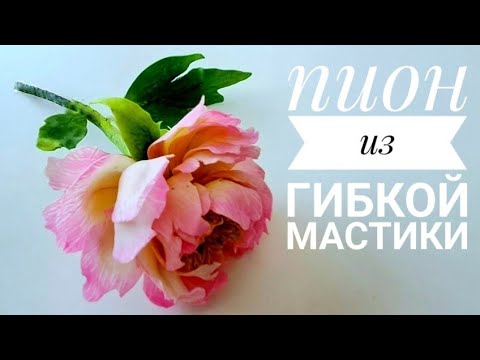 Видео: ПИОН КОРАЛ САНСЕТ /PEONY CORAL SUNSET/ИЗ САМОЙ ЛУЧШЕЙ МАСТИКИ💐🤗