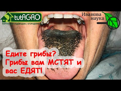 Видео: МЕСТЬ ГРИБОВ: как грибы поедают тело человека и как этого избежать. Едите грибы? Грибы вас тоже!