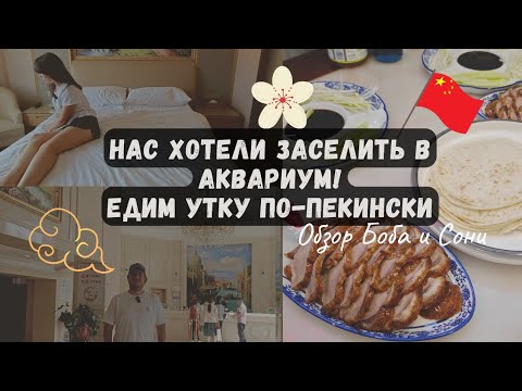 Видео: Обзор на сетевой отель.Пекин 2023. Китайская кухня. В первый раз пробуем утку по-пекински!
