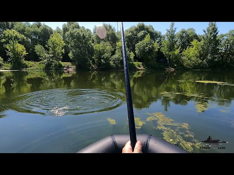 Видео: КАРАСИ И ЛИНИ ГНУТ УДОЧКУ В ДУГУ !!! ЛОВЛЯ КРУПНОГО КАРАСЯ И ЛИНЯ . БОКОВОЙ КИВОК 2021.