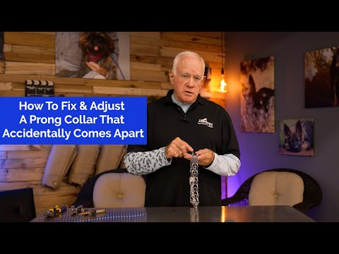 Видео: Как починить и отрегулировать строгий ошейник, который разваливается