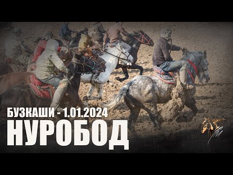 Видео: Бузкаши 1.01.2024 н. Нуробод