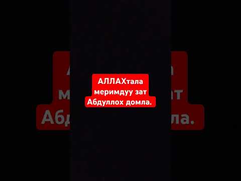 Видео: Абдуллох домла #maruzalar #abdullohdomla #ummatimuhammadi #ilmnuri