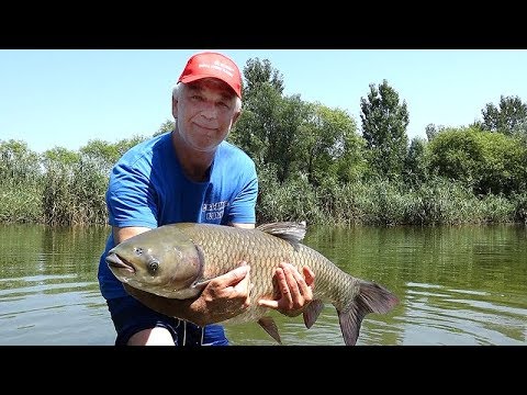 Видео: Трофейни Амури на Кисимови дупки 2018_www.digitalstudio.bg