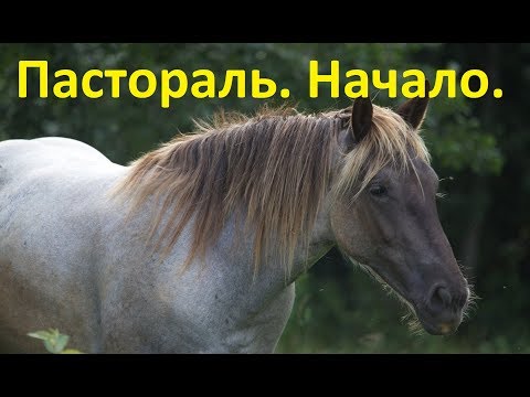 Видео: Пастораль. Начало работы в руках.