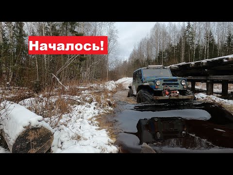 Видео: В тайге без связи и навигации. Первые рельсы зимнего сезона. Неожиданные гости. Вывозка началась!