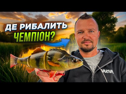 Видео: Як шукає рибу ЧЕМПІОН? ДЕ, КОЛИ і на ЩО