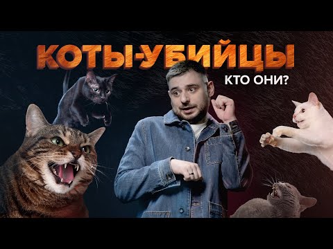 Видео: Домашние коты истребляют зверей | Идеальные хищники | Сортировочная