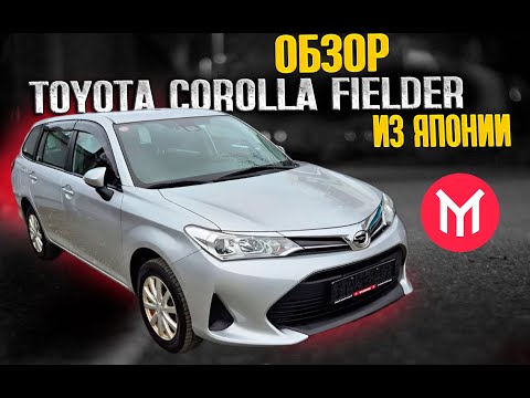 Видео: Обзор Toyota Corolla Fielder из Японии