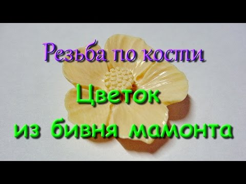 Видео: Резьба по кости. Цветок из бивня мамонта. Ivory flower carving.