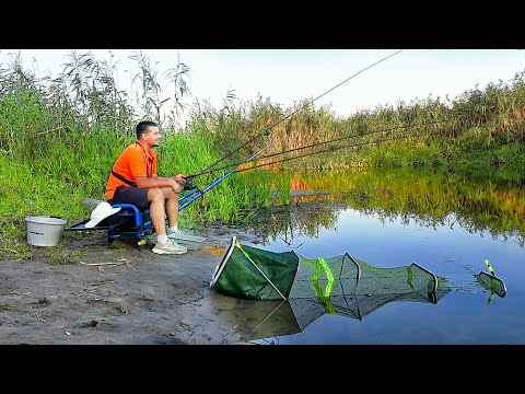 Видео: Душевная РЫБАЛКА на ФИДЕР ранним утром! БЕЗ ПОНТОВ и СЕКРЕТОВ... Ловля Фидером. Река Северский Донец