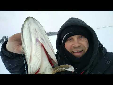 Видео: Радужный ХМАО Озеро Кракодилье 06.02.2020.